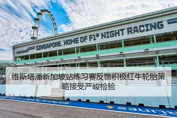 维斯塔潘新加坡站练习赛反馈积极红牛轮胎策略接受严峻检验